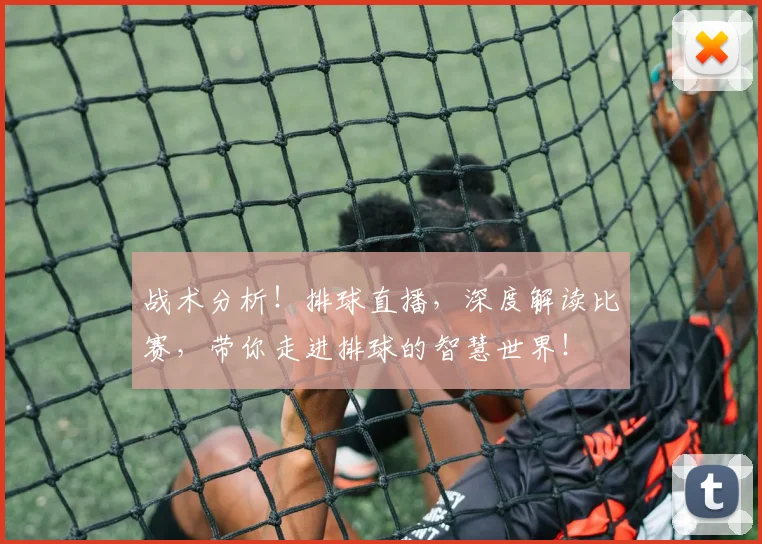 战术分析！排球直播，深度解读比赛，带你走进排球的智慧世界！