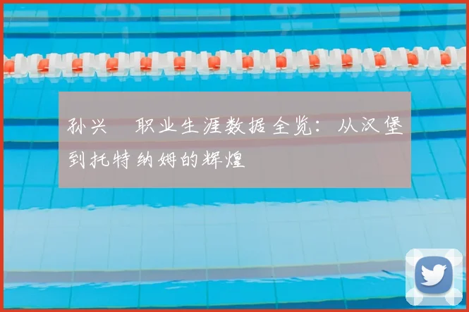 孙兴慜职业生涯数据全览：从汉堡到托特纳姆的辉煌