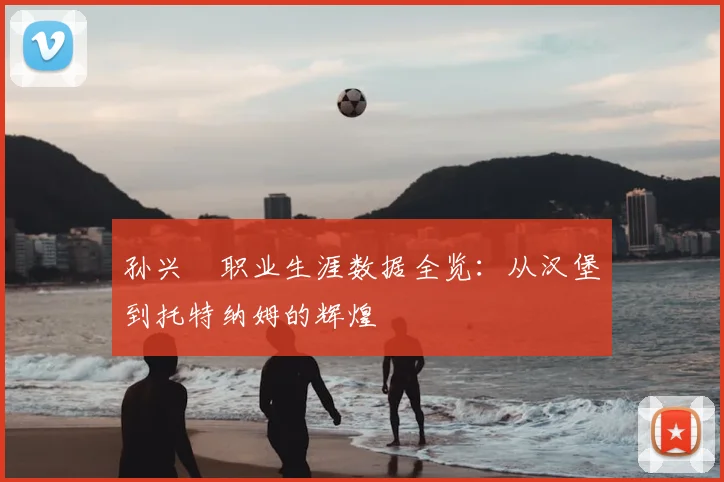 孙兴慜职业生涯数据全览：从汉堡到托特纳姆的辉煌