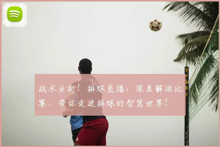 战术分析！排球直播，深度解读比赛，带你走进排球的智慧世界！